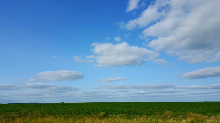 wp-1436325519053 image