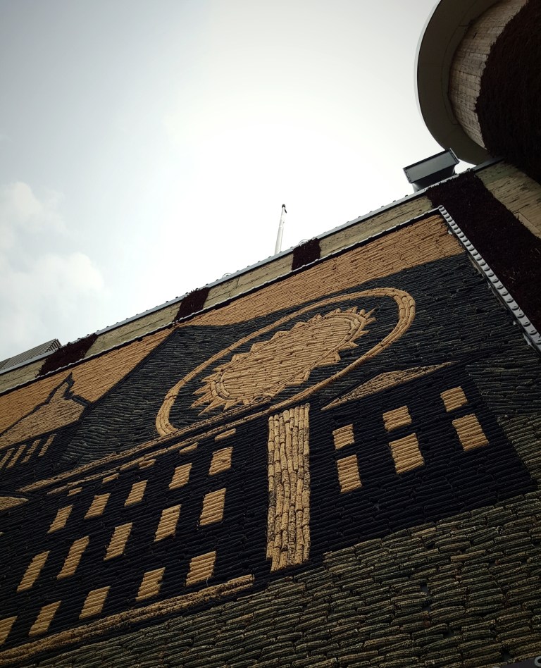 wp-1436487809322 image