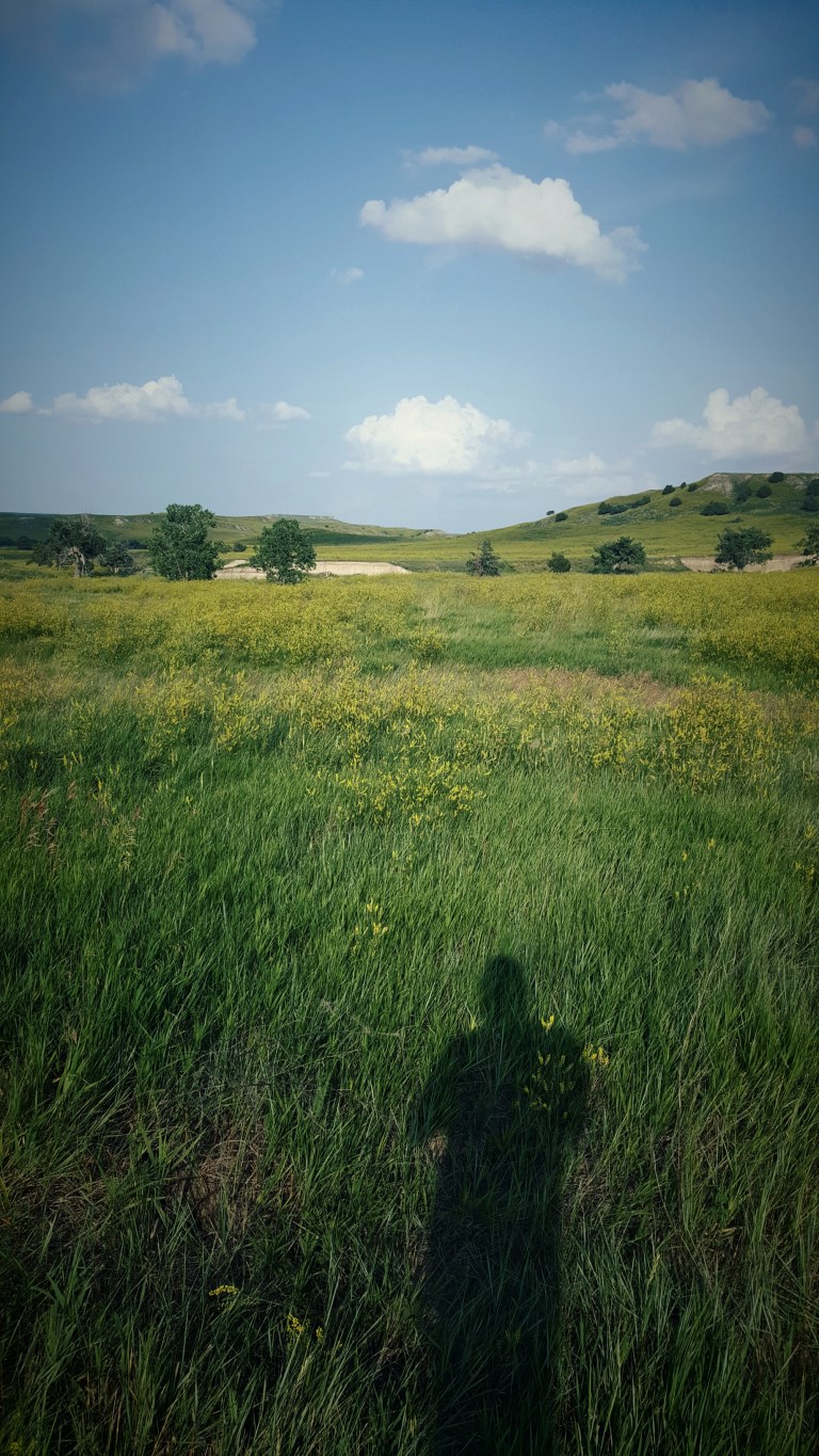 wp-1436488305433 image