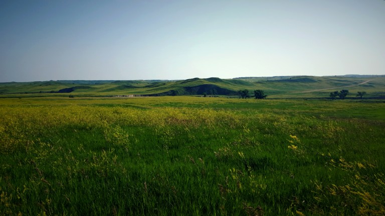 wp-1436506960967 image