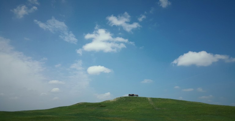 wp-1436508521096 image