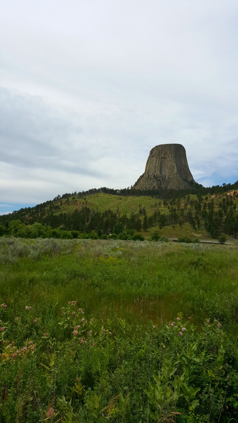 wp-1436640095485 image