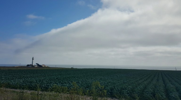 wp-1438013317985 image