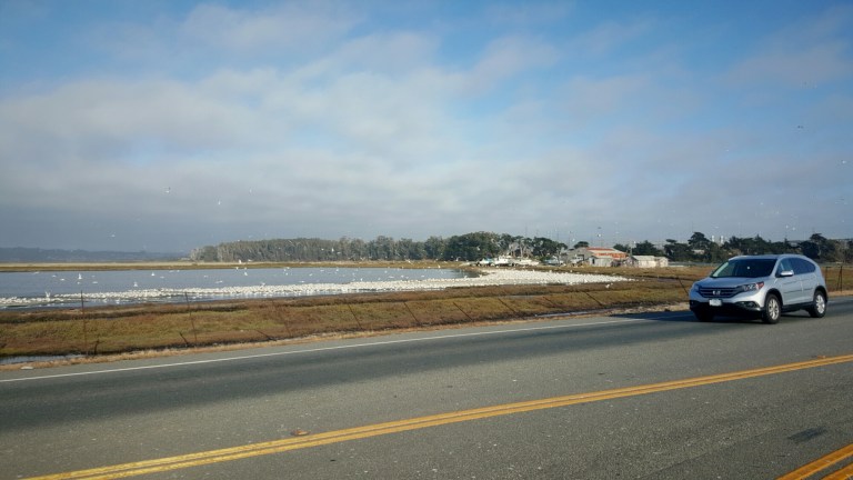 wp-1438014589866 image